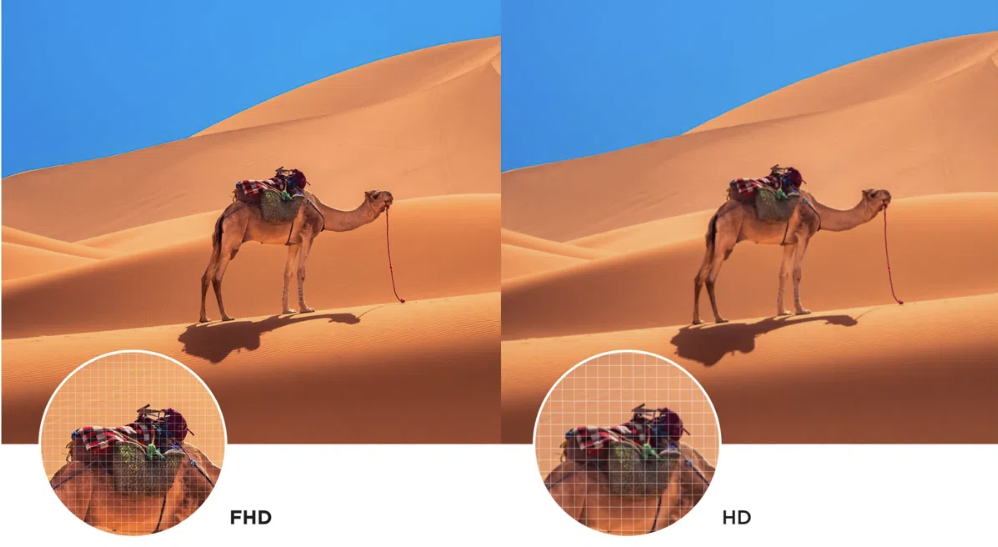 TCL 43S5L Full HD picture detail