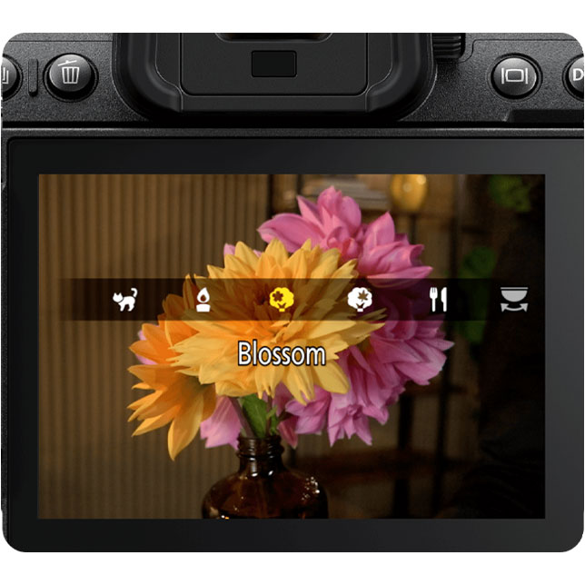 Immersive surround sound with Dolby Atmos