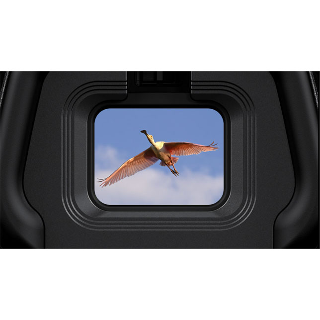  High-performance electronic shutter.