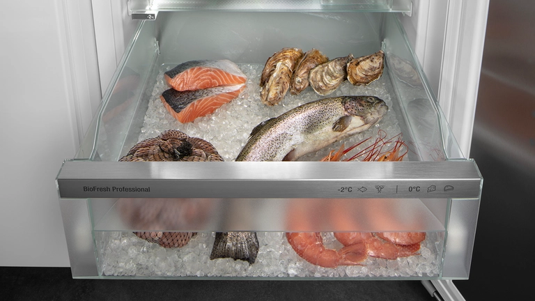 Liebherr IRBDI5170-22 Fish and Seafood safe