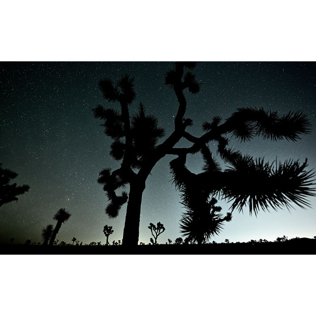 Dolby Vision, HDR10, HLG for enhanced picture quality