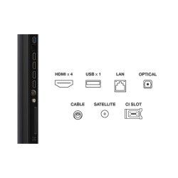 TCL 65MQLED75K 65"