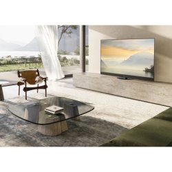 Panasonic 55Z95AEG
