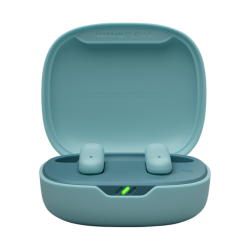 JBL JBLWFLEX2BLU