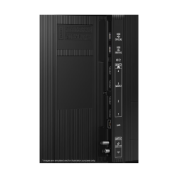 Samsung QE55QN80HAUXXH 55"