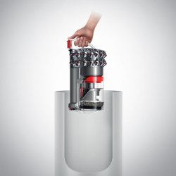Dyson Cinetic Big Ball Absolute 2