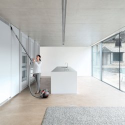Dyson Cinetic Big Ball Absolute 2