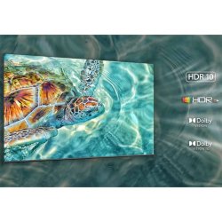 TCL 55C845K